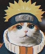 Image result for Naruto Cat Meme