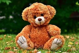 Image result for Fluffy Teddy Bears