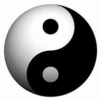 Image result for Ying Yang Y