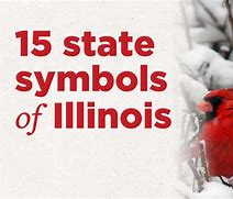 Image result for Illinois State Symbols