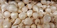 Image result for Why Do Onions Make Us Cry