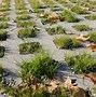 Image result for Pervious Concrete Pavement