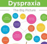 Image result for Dyspraxia Diagram