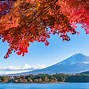 Image result for Tokyo University Fo Autumn