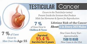 Image result for Testicular Cancer Tumor Size