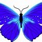 Image result for Colorful Butterfly Clip Art