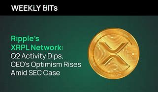 Image result for dips�ceo