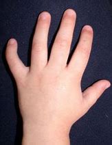 Image result for 1 Inch Finger