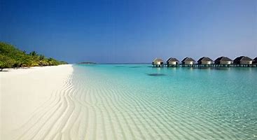 Image result for maldive