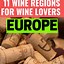Image result for Euorpean Wine Filter