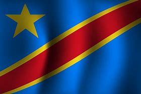 Image result for DRC Flag