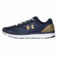 Image result for Men's Notre Dame Shoes