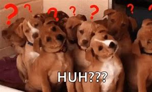 Image result for Dog Question Mark Meme
