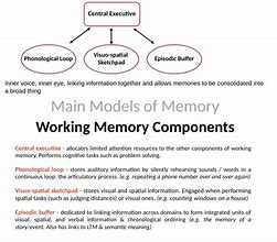 Image result for Infroamtion Sheet On Working Memory Model