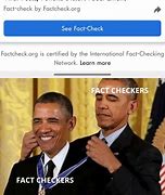 Image result for FactCheck Meme Cat