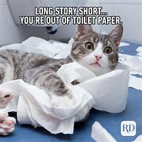 Image result for Paper Cat Meme