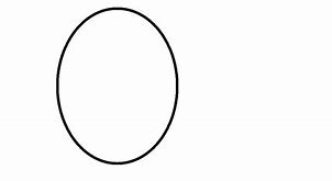 Image result for Oval Shape Outline