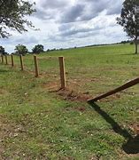 Image result for Cattle Wire Fence