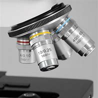 Image result for 100X Microscope Lens