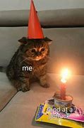 Image result for Sad Cat Birthday Meme