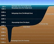 Image result for How Deep Is 10 Meters