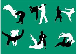 Image result for Brazilian Jiu Jitsu Silhouette