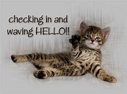 Image result for Cute Animal Quotes