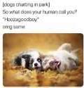 Image result for Rofl Meme