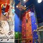 Image result for Montessori Climbing Rope Wall
