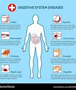 Image result for Common Digestive Diseases