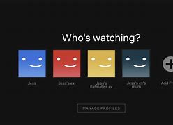 Image result for Netflix Account Management