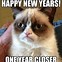 Image result for Happy New Year Meme Comic