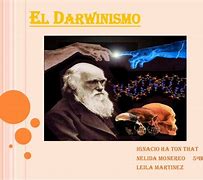 Image result for darwinosmo