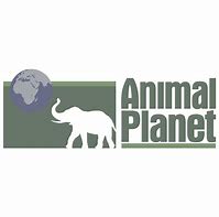 Image result for Animal Planet Logo.png
