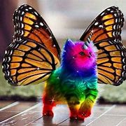 Image result for Rainbow Unicorn Kitten