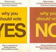 Image result for Yes No Pamphlet