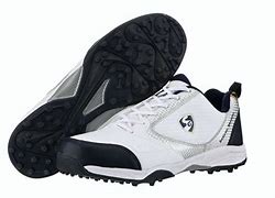 Image result for Cricket Shoes Mr Sport