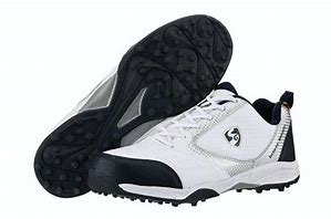 Image result for Shoes for Cricket Players