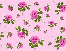 Image result for Pink Rose Pattern