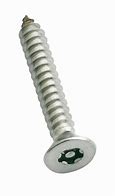 Image result for Self Tapping Security Screws