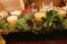 composizioni candele diy composizioni originali di piante grasse bigodino composizioni candele diy composizioni originali di piante grasse bigodino