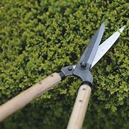 Image result for Garden Scissors