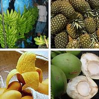 Image result for Products That Is Made Form Philippineas