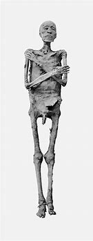 Image result for Ramses Mummy Picture