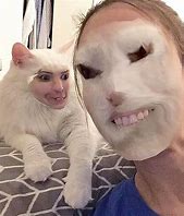 Image result for Cat Mauls Human Meme