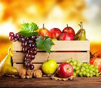 Image result for Autumn Fruits