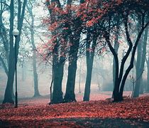 Image result for Fall Computer Wallpaper Aesthetic