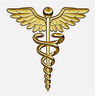 Image result for Caduceus Medical Symbol