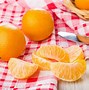 Image result for Navel Orange Varieties