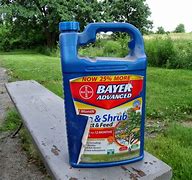 Image result for Insect Killer Outdoor